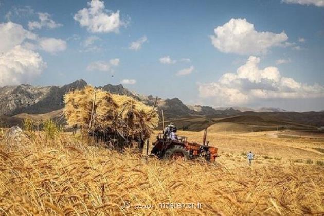 مطالبات گندم کاران پرداخت گردد